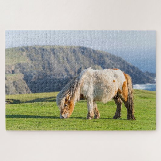 Shetland Pony op pasta nabij hoge cliënten Legpuzzel (Horizontaal)