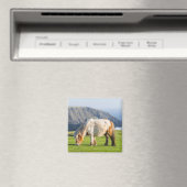 Shetland Pony op pasta nabij hoge cliënten Magneet (Insitu (Vaatwasser))