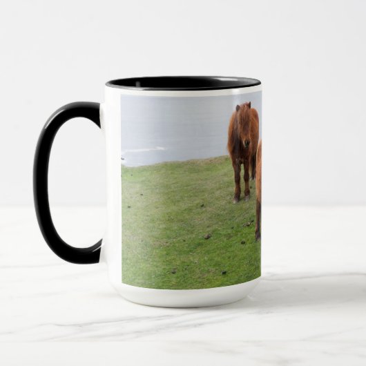 Shetland Pony op pasta nabij hoge cliënten Mok (Links)