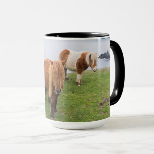 Shetland Pony op pasta nabij hoge cliënten Mok (Voorkant rechts)