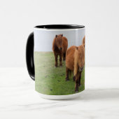 Shetland Pony op pasta nabij hoge cliënten Mok (Voorkant links)