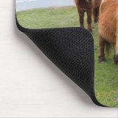 Shetland Pony op pasta nabij hoge cliënten Muismat (Hoek)