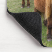 Shetland Pony op pasta nabij hoge cliënten Muismat (Hoek)