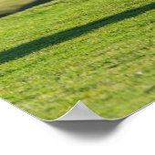 Shetland Pony op pasta nabij hoge cliënten Poster (Hoek)