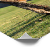 Shetland Pony op pasta nabij hoge cliënten Poster (Hoek)