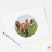 Shetland Pony op pasta nabij hoge cliënten Ronde Sticker (Envelop)