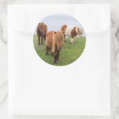 Shetland Pony op pasta nabij hoge cliënten Ronde Sticker (Tas)