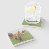 Shetland Pony op pasta nabij hoge cliënten Stenen Onderzetter (Zijkant)