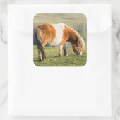 Shetland Pony op pasta nabij hoge cliënten Vierkante Sticker (Tas)