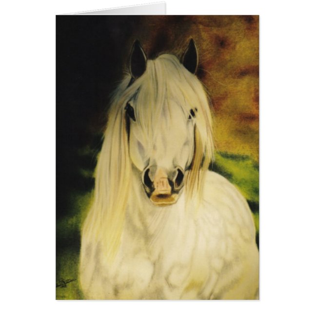 "Shetland Pony"-paardenkaart (Voorkant)