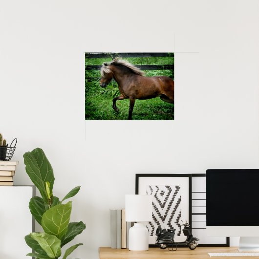 Shetland Pony Poster (Thuiskantoor)