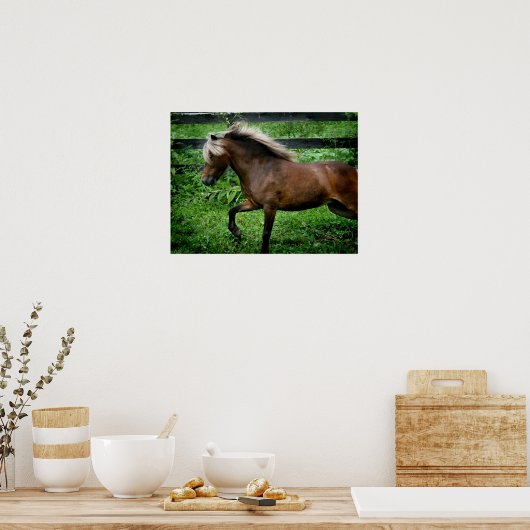 Shetland Pony Poster (Keuken)
