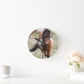 Shetland Pony, Shetland-eilanden Ronde Klok (Huis)