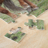 Shetland Pony, Shetland Islands, Scotland 2 Legpuzzel (Zijkant)