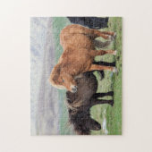 Shetland Pony, Shetland Islands, Scotland 2 Legpuzzel (Verticaal)
