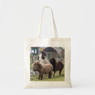 Shetland pony spelen - Nuttige tas