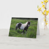 Shetland Pony Stallion in grass Kaart (Gele Bloem)