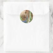Shetland Pony-Stickers Ronde Sticker (Tas)