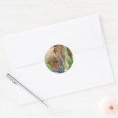Shetland Pony-Stickers Ronde Sticker (Envelop)