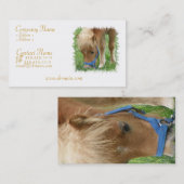 Shetland Pony Visitekaartje (Voorkant / Achterkant)