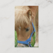 Shetland Pony Visitekaartje (Achterkant)