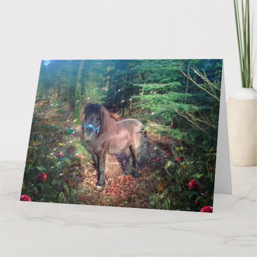 Shetland Pony - Wenskaart Kaart (Voorkant)
