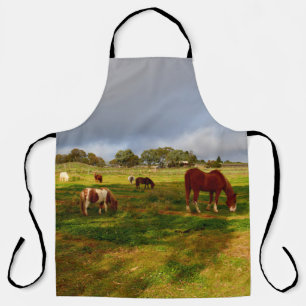 Shetland pony's in een veld, full print Schort