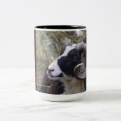 SHETLAND RAM COFFEE MOK - DREAM WEAVER (Center)