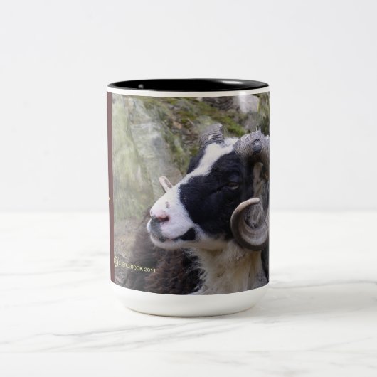 SHETLAND RAM COFFEE MOK - DREAM WEAVER (Center)