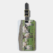 Shetland schaap bagagelabel (Voorkant verticaal)