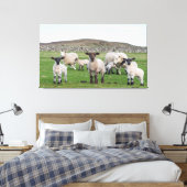 Shetland schaap canvas afdruk (Insitu (Slaapkamer))