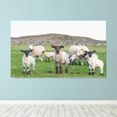 Shetland schaap canvas afdruk (Insitu (Houten vloer))