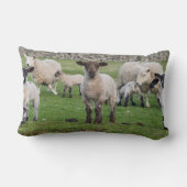 Shetland schaap kussen (Achterkant)