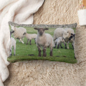 Shetland schaap kussen (Deken)