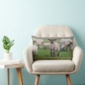 Shetland schaap kussen (Stoel)
