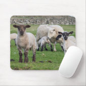 Shetland schaap muismat (Met muis)
