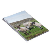 Shetland schaap notitieboek (Rechterzijde)