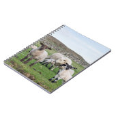 Shetland schaap notitieboek (Linkerzijde)
