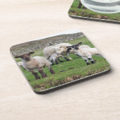 Shetland schaap onderzetter (Linkerzijde)
