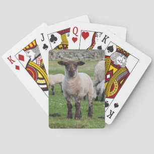Shetland schaap pokerkaarten