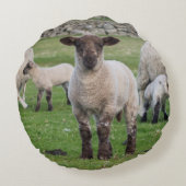 Shetland schaap rond kussen (Achterkant)