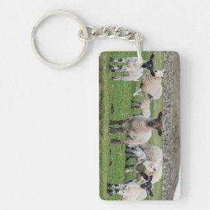 Shetland schaap sleutelhanger