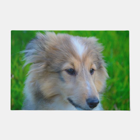 Shetland Schaapshond. Deurmat (Voorkant)