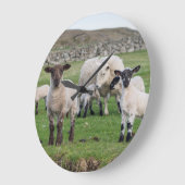 Shetland Sheep 5 Grote Klok (Hoek)