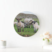 Shetland Sheep 5 Grote Klok (Huis)