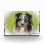 Shetland Sheep Dog Fotoblokken (Voorkant)