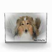 Shetland Sheep Dog Fotoblokken (Voorkant)