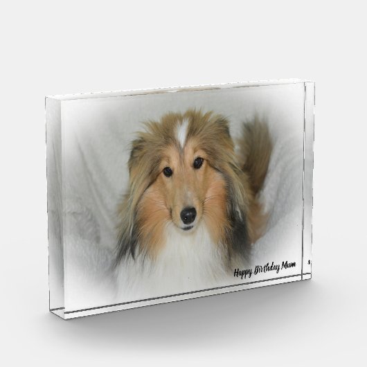 Shetland Sheep Dog Fotoblokken (Links)