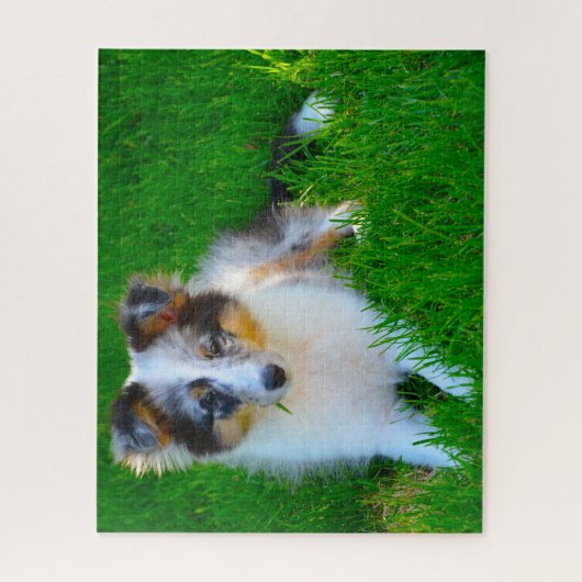 Shetland Sheep Dog Jigzaag. Legpuzzel (Verticaal)