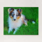 Shetland Sheep Dog Jigzaag. Legpuzzel (Horizontaal)